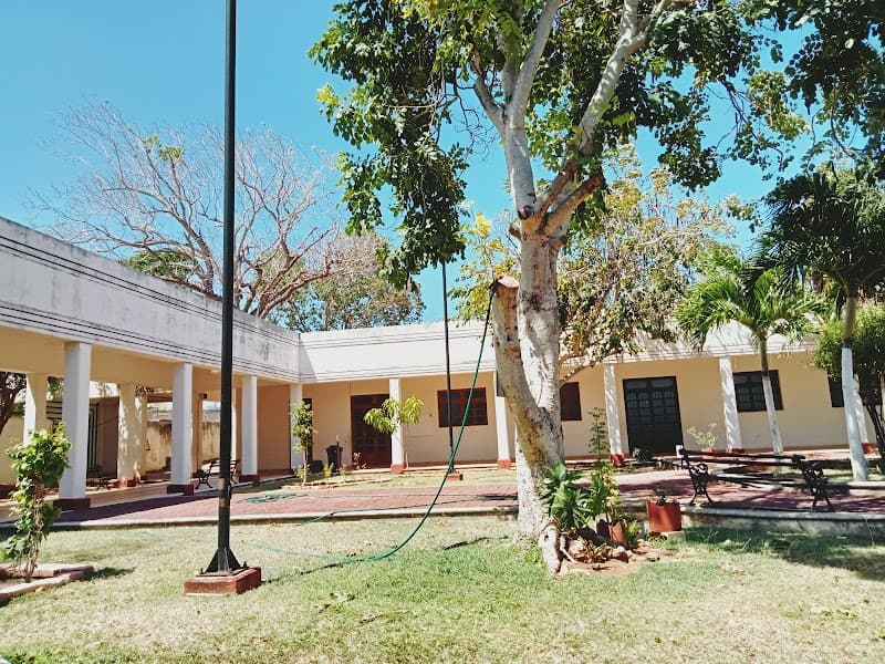 ESCUELA ESTATAL DE DANZA Q ROO